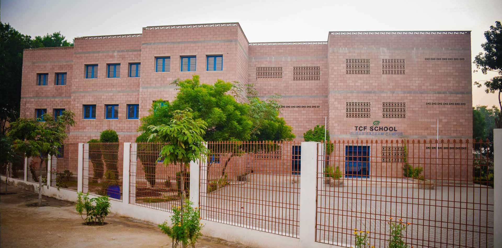 tCF School1